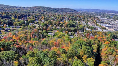 225 Southwood Dr #&-217 Vestal, NY 13850