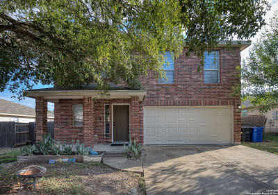 310 Ibis Falls Dr New Braunfels, TX 78130