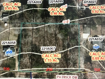 0 Patrick Dr China Grove, NC 28023