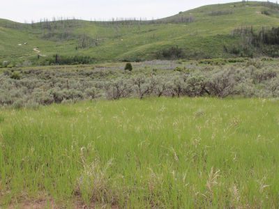 63 Caribou Rd #2 Soda Springs, ID 83276