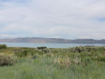 100 Lotus Dr Fish Haven, ID 83287