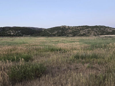 2 Great Columbia Subdivision Bancroft, ID 83217