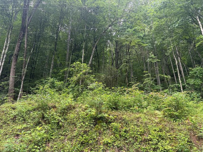 0 Corbin Hills Dr Franklin, NC 28734