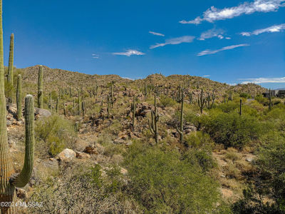 1173 W Tortolita Mountain Cir #182 Tucson, AZ 85755