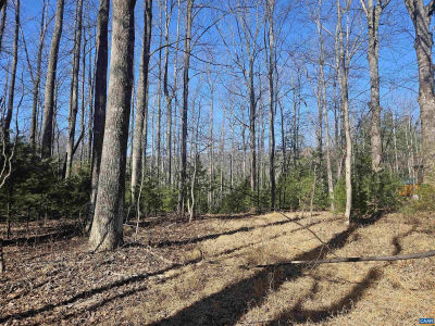 LOT 56-56G Turkey Ridge Rd Stanardsville, VA 22973
