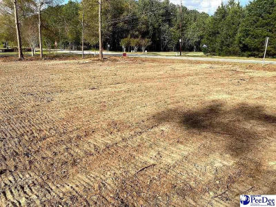 Dunlap Dr Hartsville, SC 29550