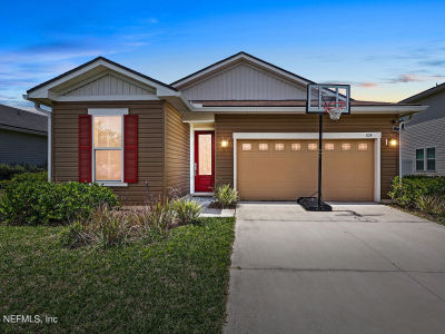 1124 Persimmon Dr Middleburg, FL 32068