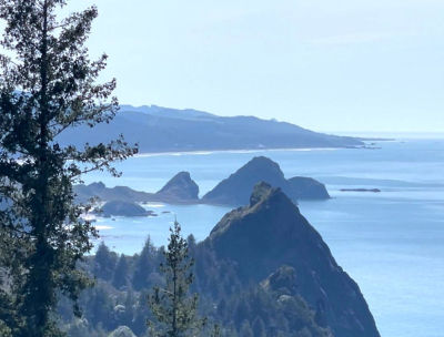 38097 Pacific Highlands Dr Port Orford, OR 97465