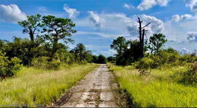 212 Broach St NW Lake Placid, FL 33852