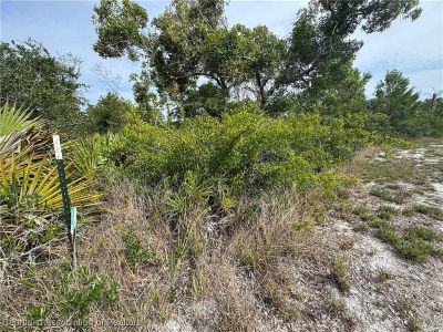 439 Hoover Ave NE Lake Placid, FL 33852