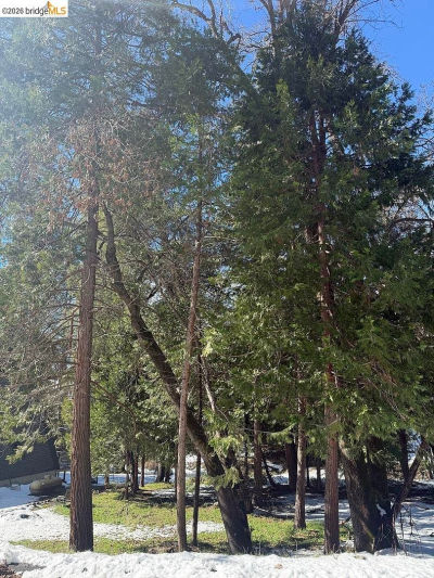 21730 Wasatch Mountain Dr Sonora, CA 95370