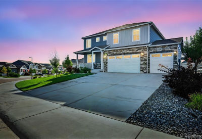 2248 Rosette Ln Castle Rock, CO 80104