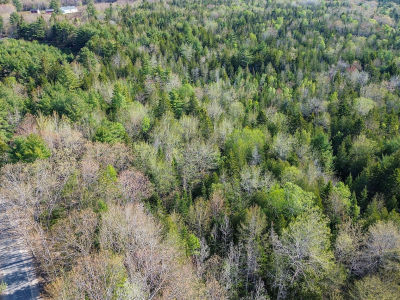 006-019A Punkinville Rd Sullivan, ME 04664