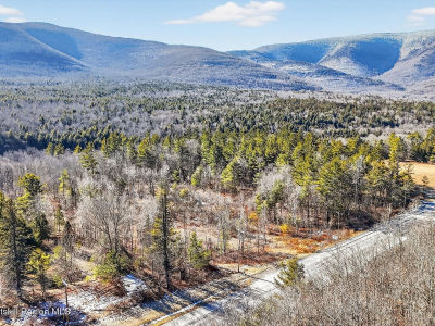 6769 Highway 23 #A Tannersville, NY 12485