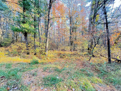 732AC E 58th St Newaygo, MI 49337