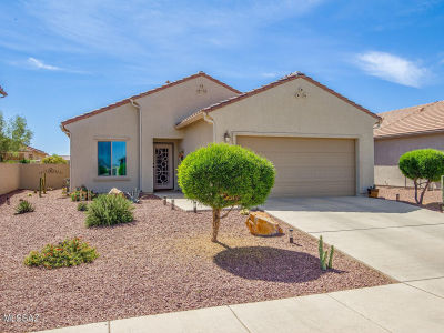 21529 E Freedom Dr Red Rock, AZ 85145