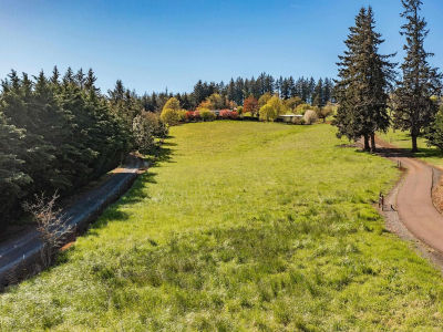 40743 Us Highway 228 Sweet Home, OR 97386