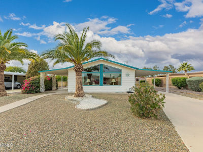 9034 E Citrus Ln N Sun Lakes, AZ 85248