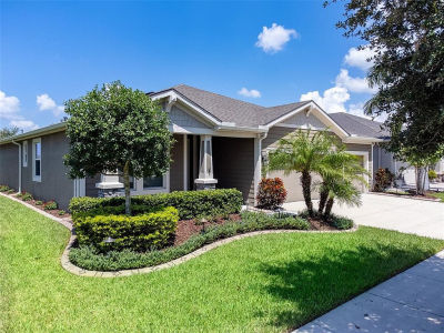 1010 Better Days Pl Valrico, FL 33594