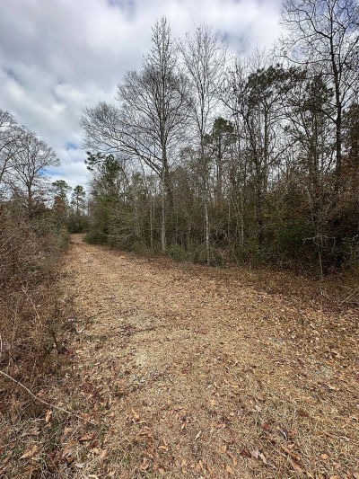 0 Barbara Ln Lumberton, MS 39455
