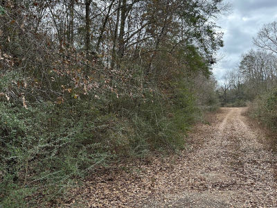 0 Barbara Ln S Lumberton, MS 39455