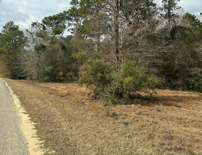 0 Bisbee Dr Lumberton, MS 39455