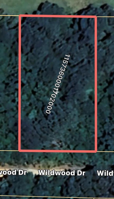 0 Wildwood Dr Lumberton, MS 39455