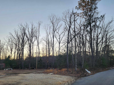 499 S Grant St #10 Sheridan, AR 72150