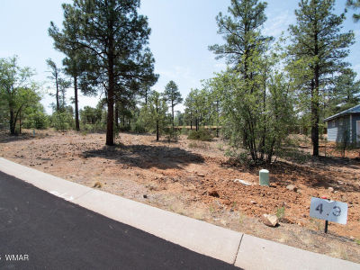 381 E Huckleberry Ln Show Low, AZ 85901