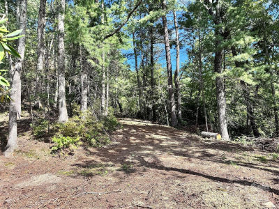 270 S Jarvis Dr Hendersonville, NC 28792