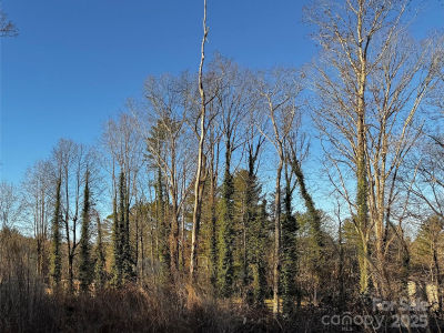 0 N Westview Ct #14 Fletcher, NC 28732