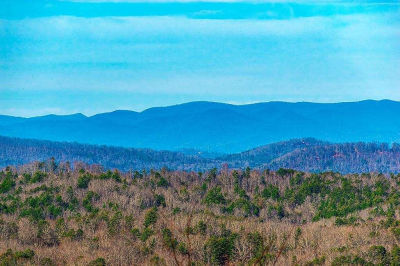 8 Scouts Ovlk Ln Morganton, GA 30560