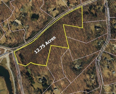 0 Fox Ln Mount Kisco, NY 10549