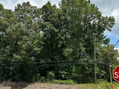 0 Highway 69 Jasper, AL 35504