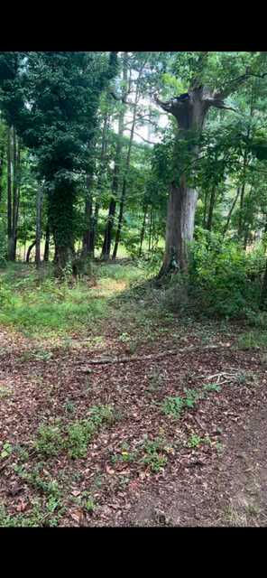 569 Cook Drive, Ellenwood, GA, USA