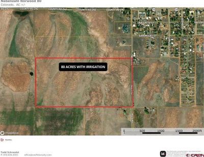 42Z South Rd Norwood, CO 81423