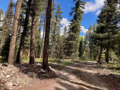 147 Ridge Rd Cimarron, CO 81220