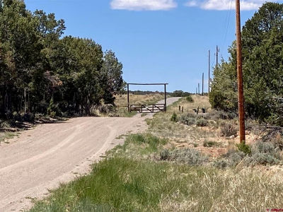 2 County Road 22b Montrose, CO 81403