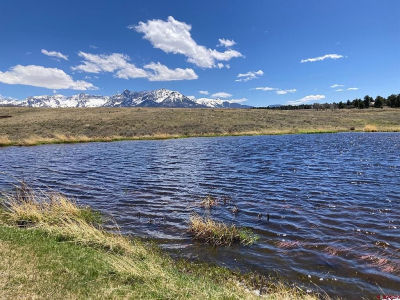 13 62x Rd Placerville, CO 81430