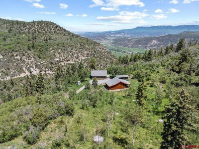 444 Which Way Ridgway, CO 81432