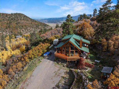 87 Which Way Ridgway, CO 81432