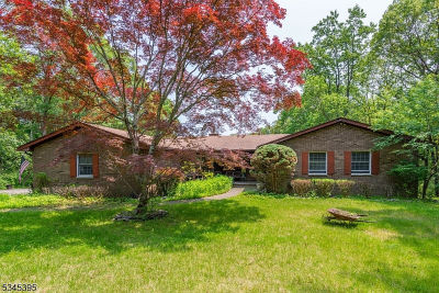 992 Stillwater Rd Newton, NJ 07860