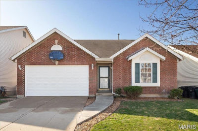 2749 Brookmeadow Dr Belleville, IL 62221