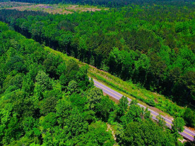 W Highway 8 Carthage, AR 71725