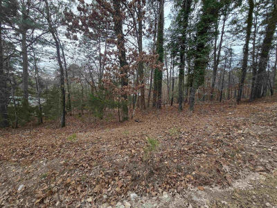 Doubloon Cir Hot Springs National Park, AR 71913