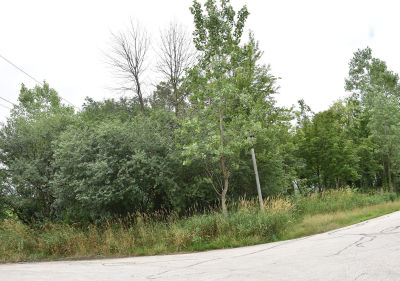 11665 Orchard Rd Willow Springs, IL 60480