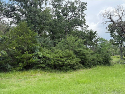 0 Lakewood Dr #96&97 Marquez, TX 77865