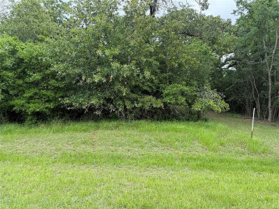0 Well House Ln Marquez, TX 77865