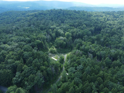 0 Spencer Hollow Rd Springfield, VT 05156