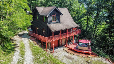 58 Upper Hillside Ln Valley Head, WV 26294